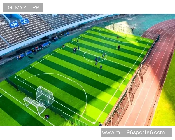 中国专用足球场建设现状与未来发展趋势分析及其对足球运动的影响